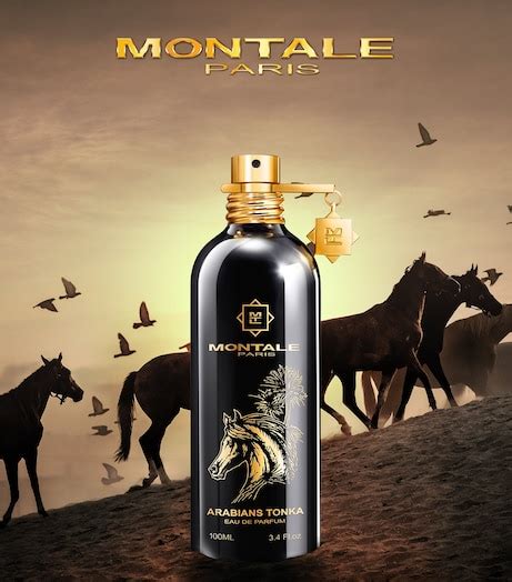 arabians tonka harrods